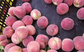 Insitu image of fruit on the fresh produce matting which prevents fruits from bruising