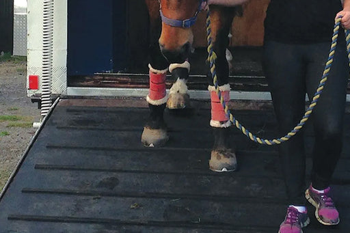 insitu images of a ramp mat being used on a horse float
